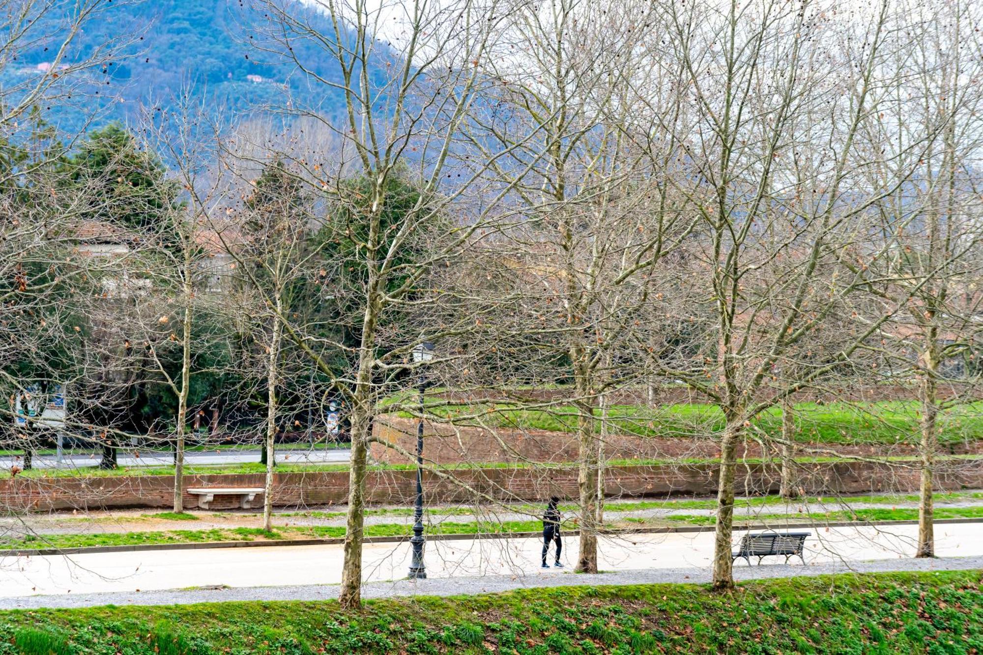 Cozy Apartment With A View On The City Walls Lucca Exterior photo